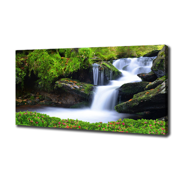 Canvas wall art Waterfall in the forest