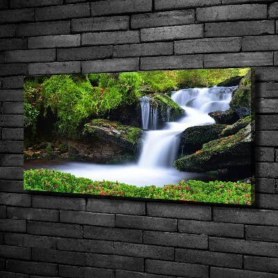 Canvas wall art Waterfall in the forest