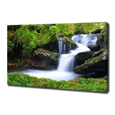 Canvas wall art Waterfall in the forest