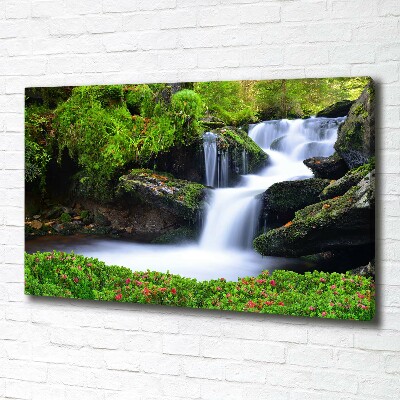 Canvas wall art Waterfall in the forest