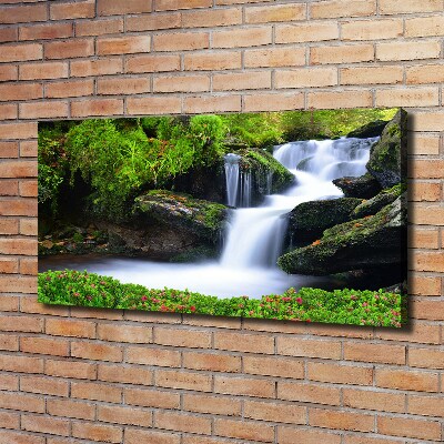 Canvas wall art Waterfall in the forest