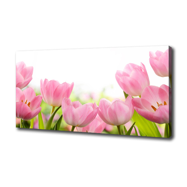 Canvas wall art Pink tulips