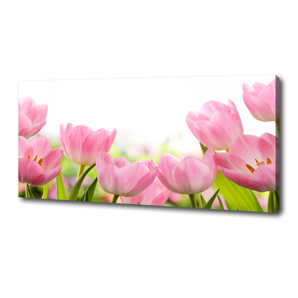 Canvas wall art Pink tulips