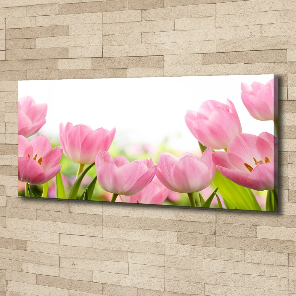 Canvas wall art Pink tulips