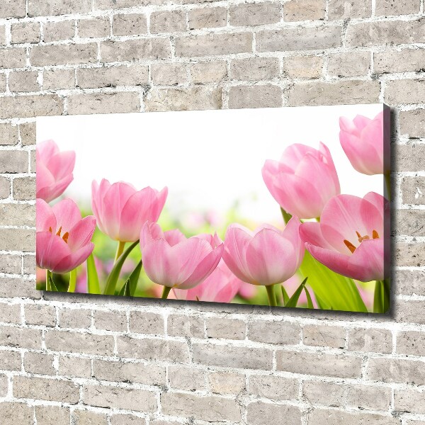 Canvas wall art Pink tulips