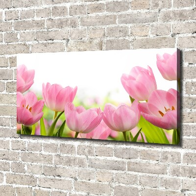 Canvas wall art Pink tulips