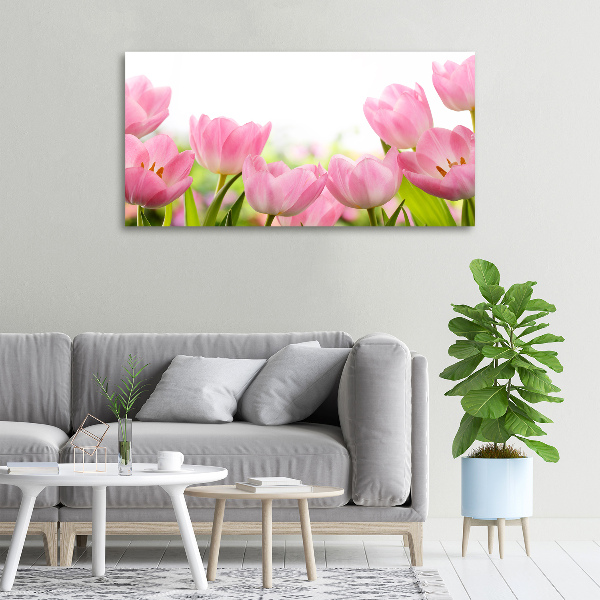 Canvas wall art Pink tulips