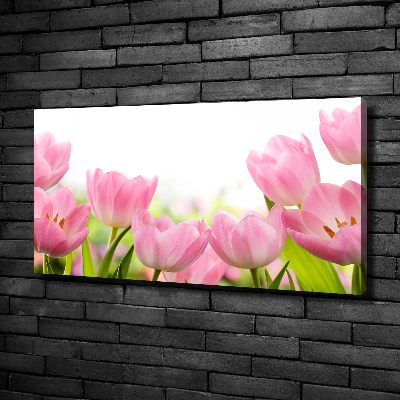 Canvas wall art Pink tulips