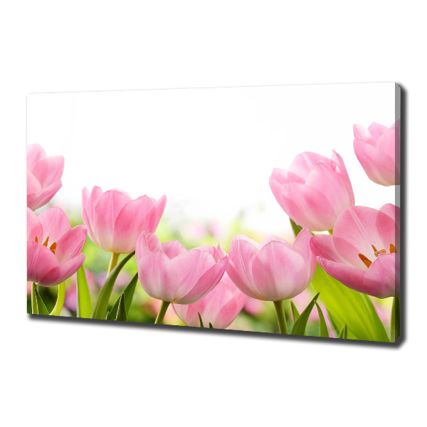 Canvas wall art Pink tulips