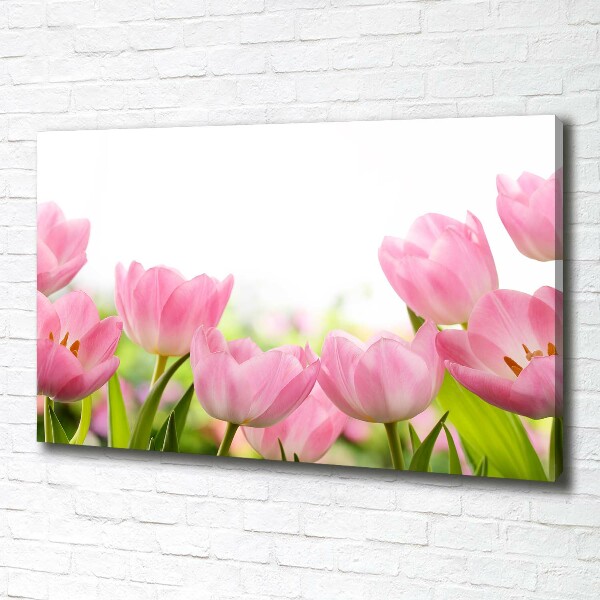 Canvas wall art Pink tulips