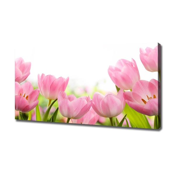 Canvas wall art Pink tulips