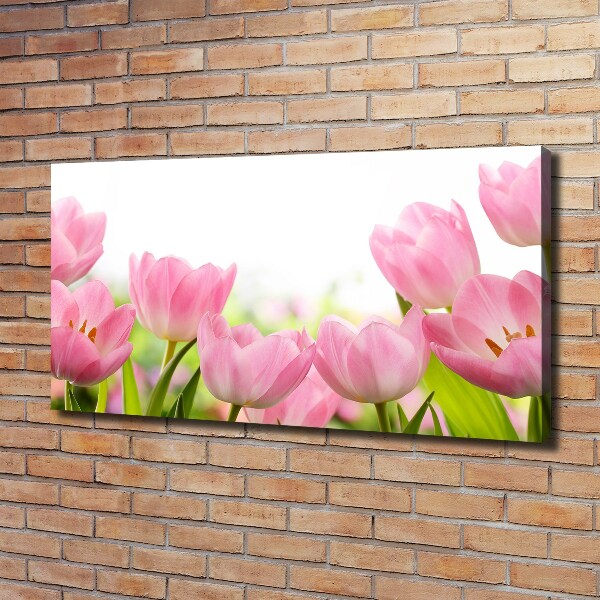 Canvas wall art Pink tulips