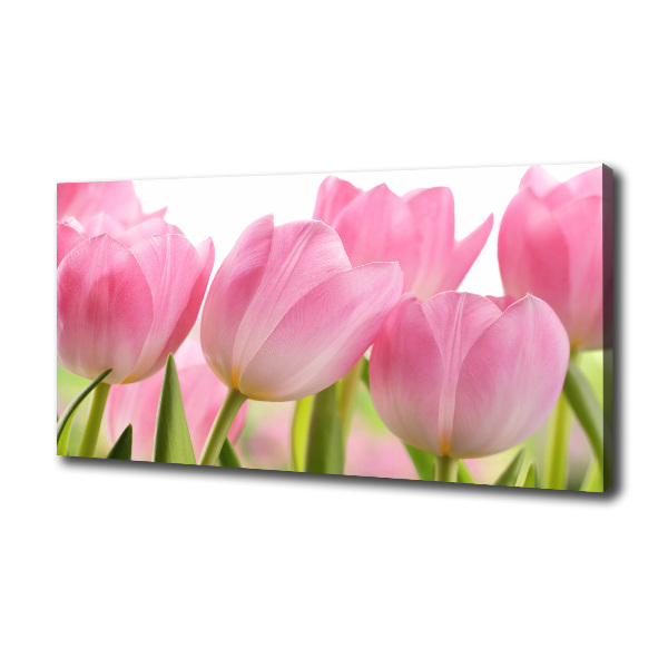 Canvas wall art Pink tulips