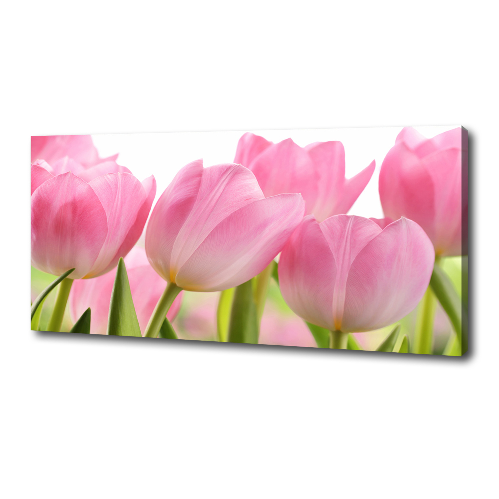 Canvas wall art Pink tulips