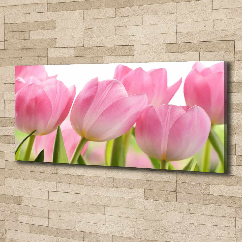 Canvas wall art Pink tulips