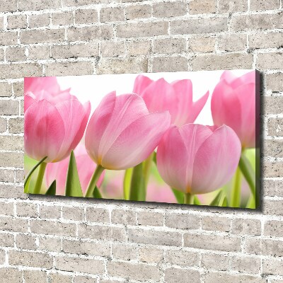 Canvas wall art Pink tulips