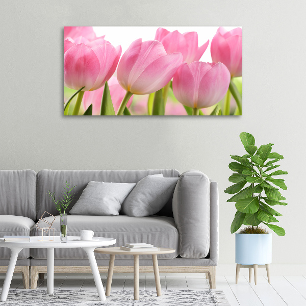 Canvas wall art Pink tulips