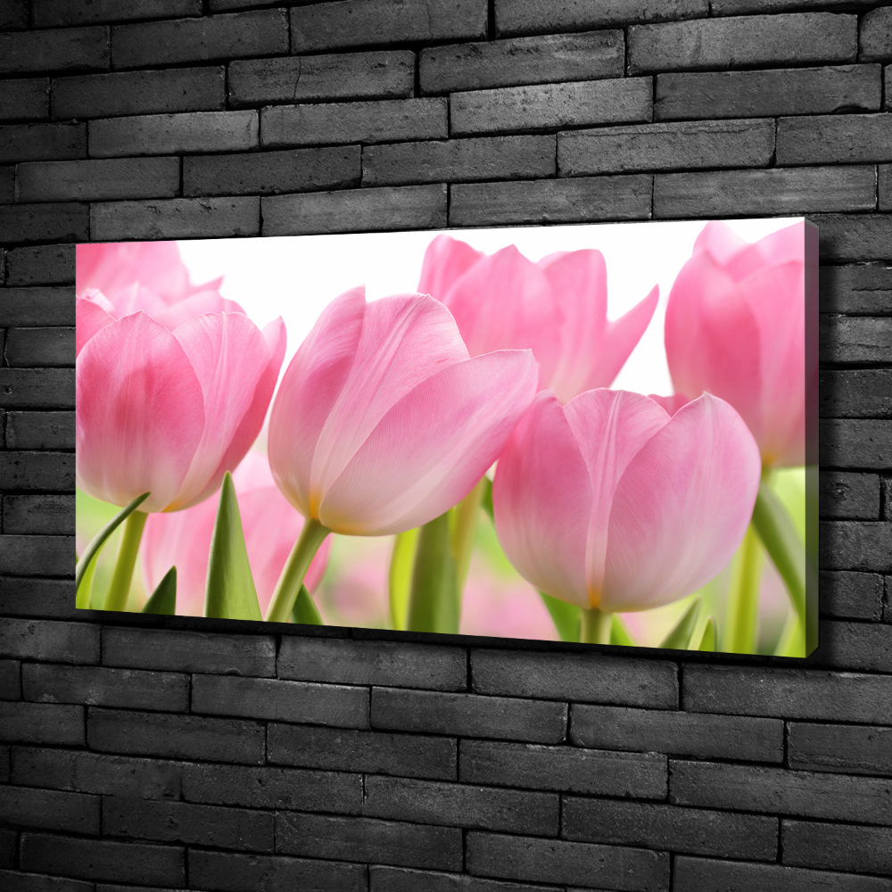 Canvas wall art Pink tulips