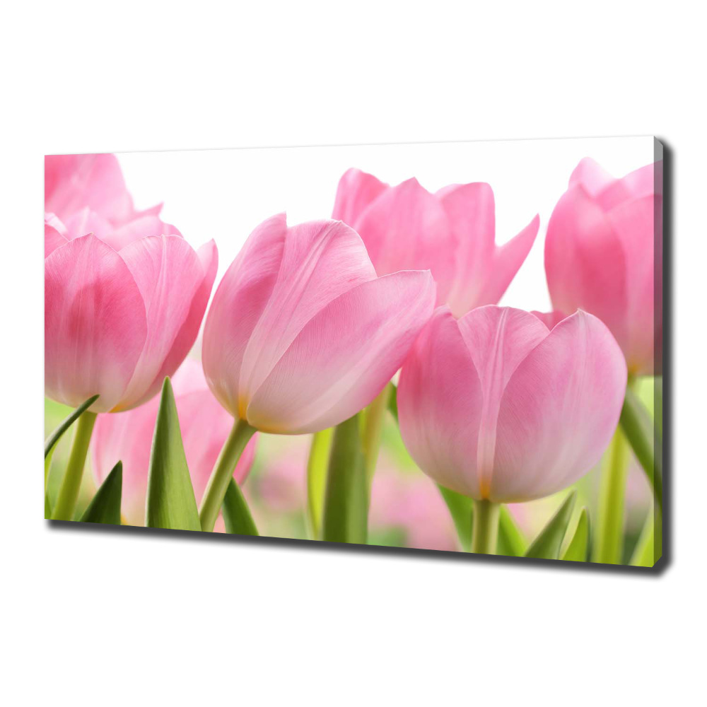 Canvas wall art Pink tulips