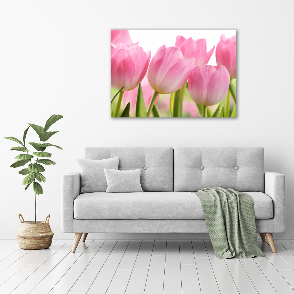 Canvas wall art Pink tulips