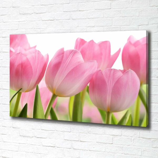 Canvas wall art Pink tulips