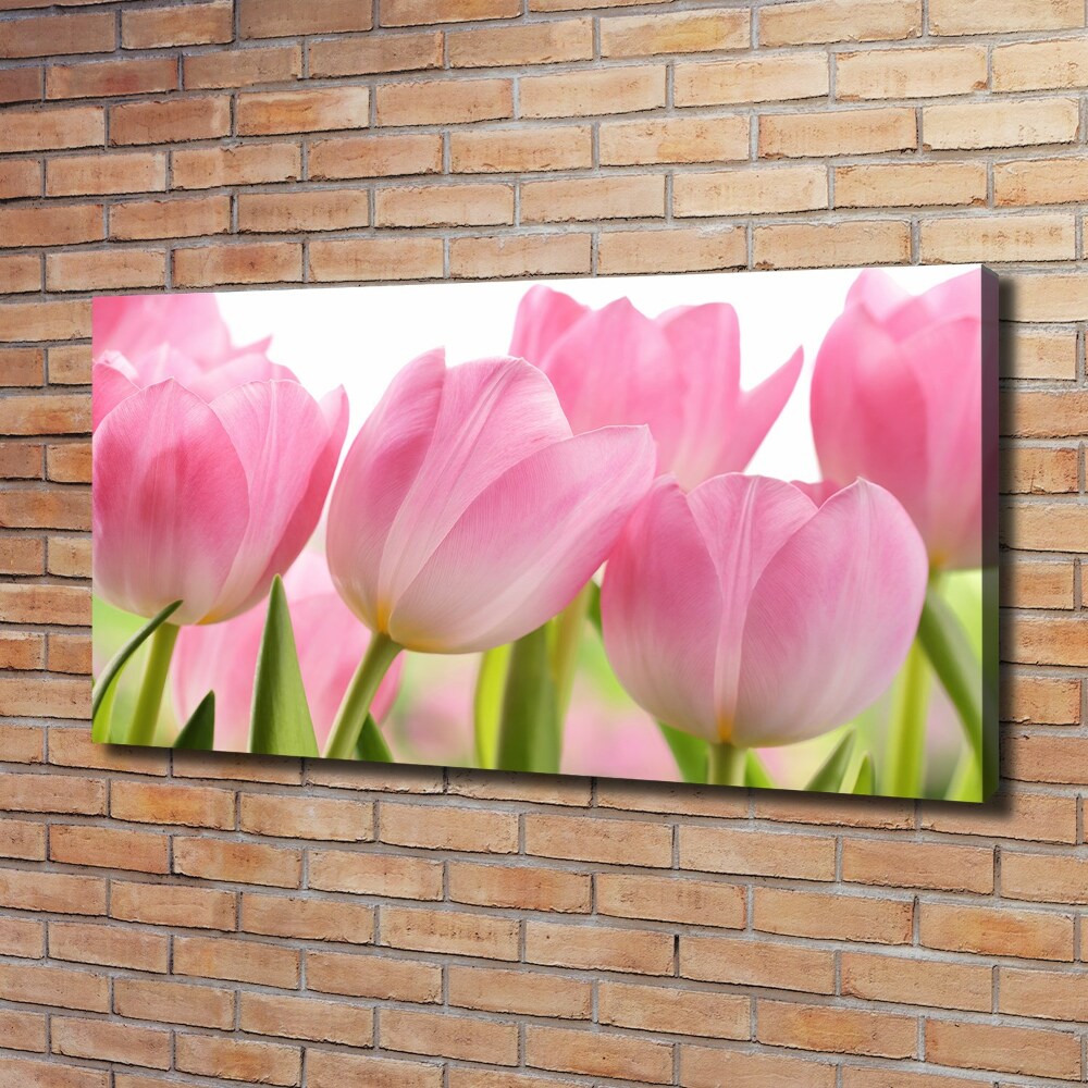 Canvas wall art Pink tulips