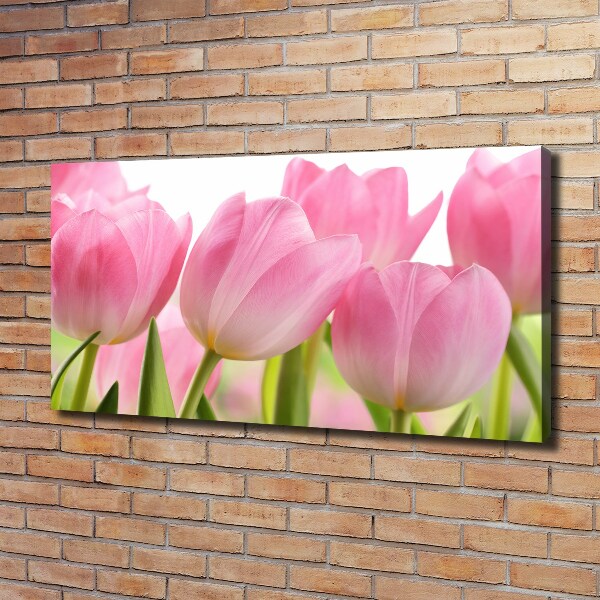 Canvas wall art Pink tulips