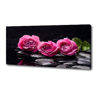 Canvas wall art Pink roses