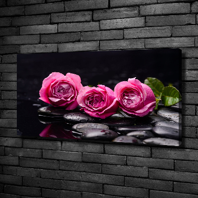 Canvas wall art Pink roses