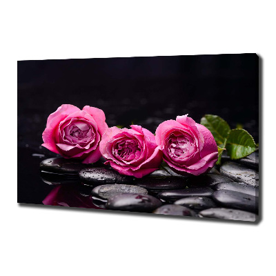 Canvas wall art Pink roses