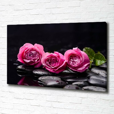 Canvas wall art Pink roses