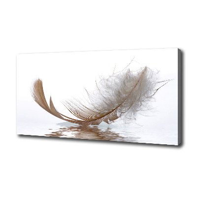 Canvas wall art Feather on the water