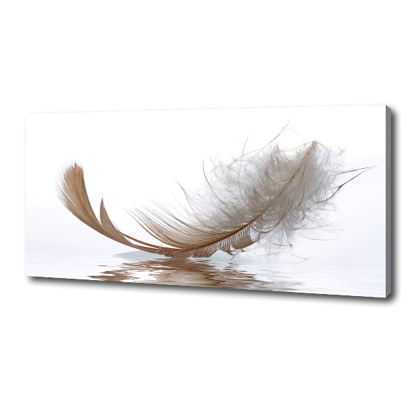 Canvas wall art Feather on the water