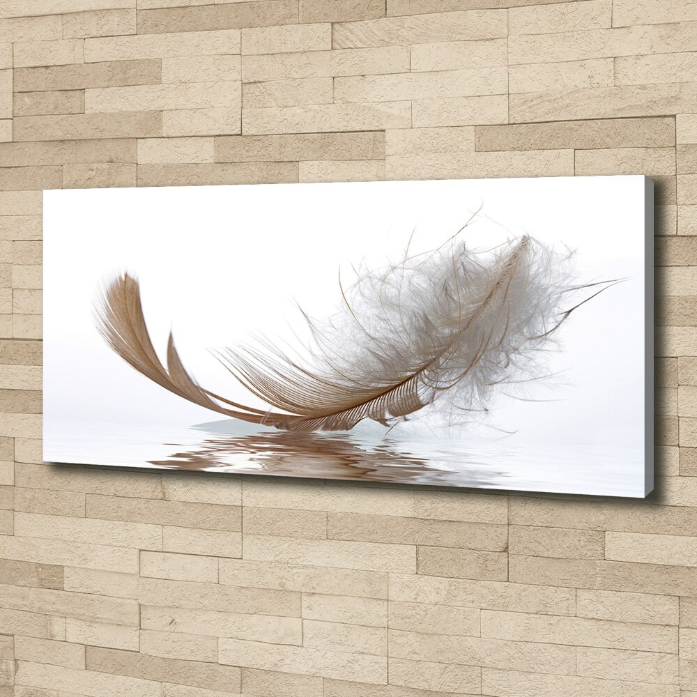 Canvas wall art Feather on the water