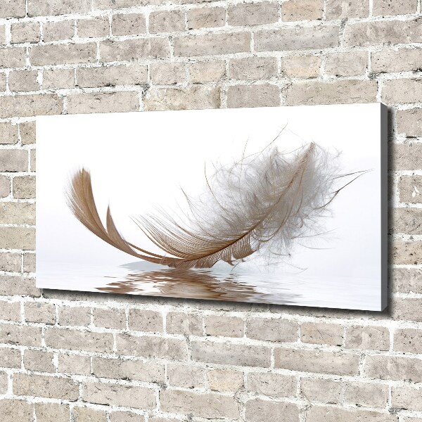 Canvas wall art Feather on the water