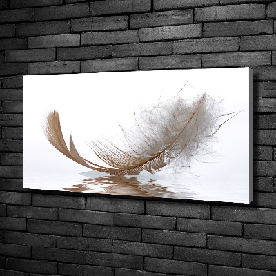 Canvas wall art Feather on the water