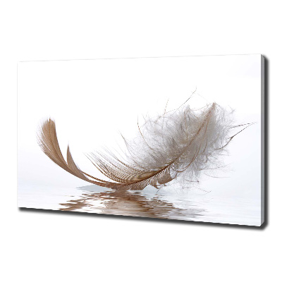 Canvas wall art Feather on the water