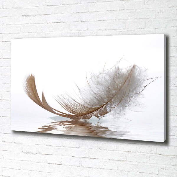 Canvas wall art Feather on the water