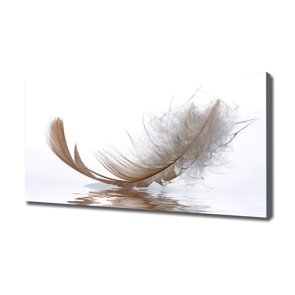 Canvas wall art Feather on the water