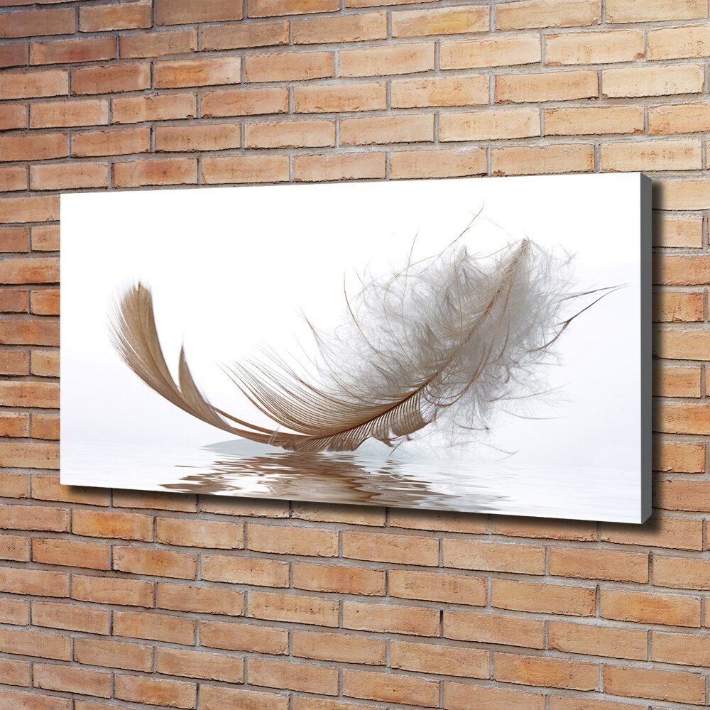 Canvas wall art Feather on the water