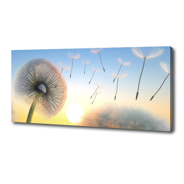 Canvas wall art Dandelion