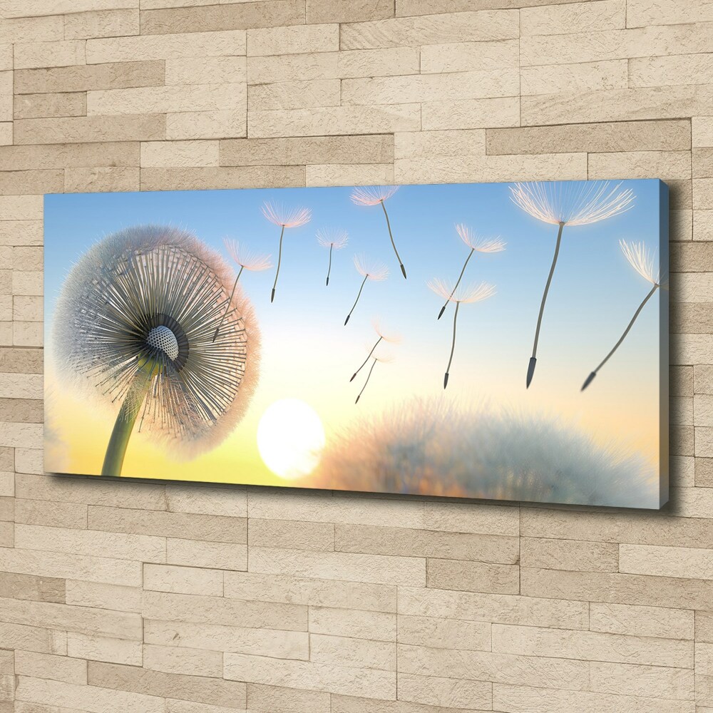 Canvas wall art Dandelion