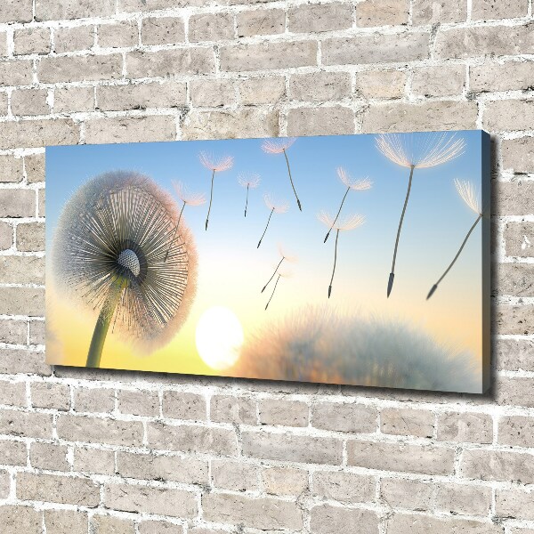 Canvas wall art Dandelion