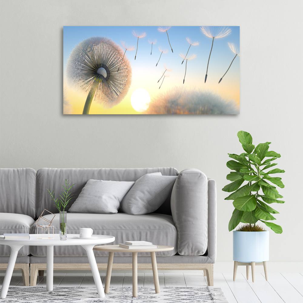 Canvas wall art Dandelion