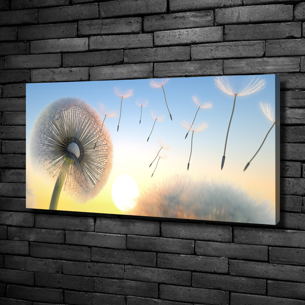 Canvas wall art Dandelion