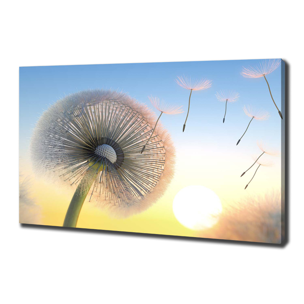 Canvas wall art Dandelion