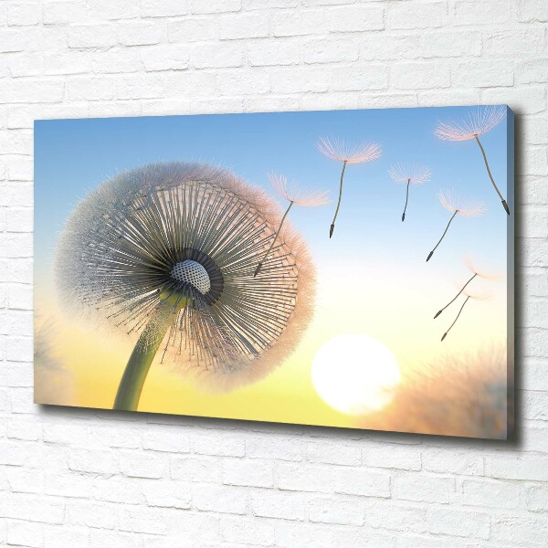 Canvas wall art Dandelion