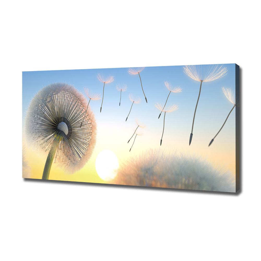 Canvas wall art Dandelion