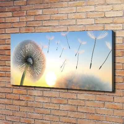 Canvas wall art Dandelion