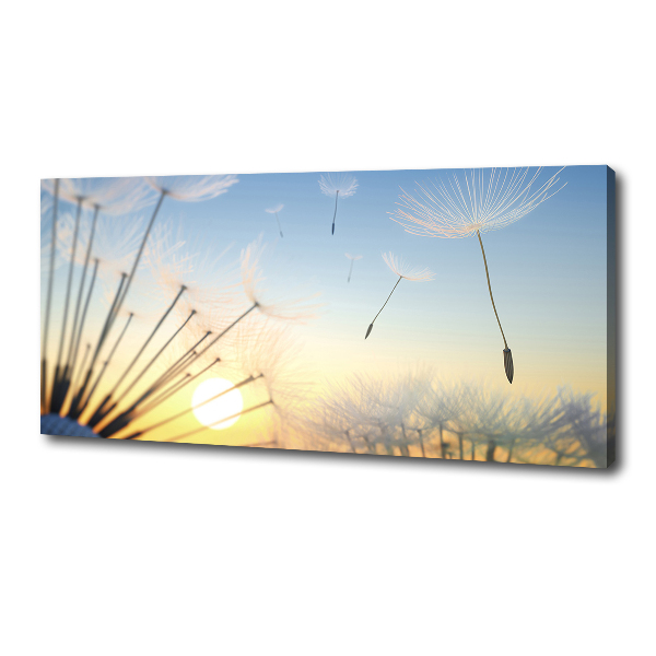 Canvas wall art Dandelion seeds